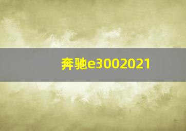 奔驰e3002021