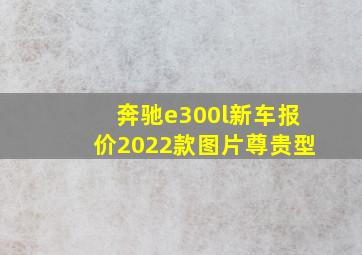 奔驰e300l新车报价2022款图片尊贵型