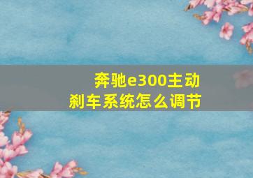 奔驰e300主动刹车系统怎么调节