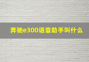 奔驰e300语音助手叫什么