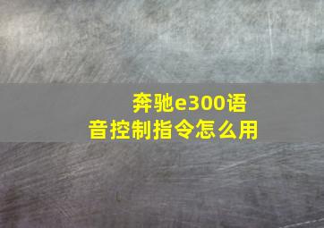 奔驰e300语音控制指令怎么用