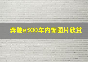 奔驰e300车内饰图片欣赏