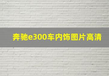 奔驰e300车内饰图片高清