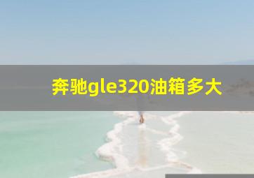 奔驰gle320油箱多大