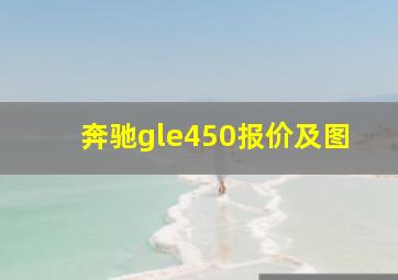 奔驰gle450报价及图