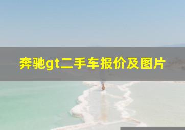 奔驰gt二手车报价及图片