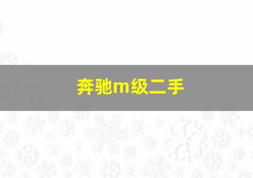 奔驰m级二手