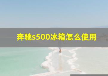 奔驰s500冰箱怎么使用