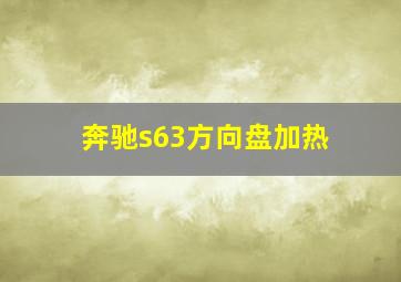 奔驰s63方向盘加热