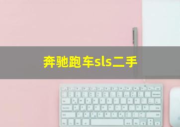 奔驰跑车sls二手