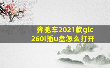 奔驰车2021款glc260l插u盘怎么打开