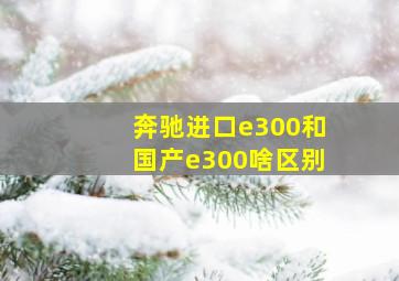 奔驰进口e300和国产e300啥区别