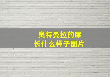 奥特曼拉的屎长什么样子图片