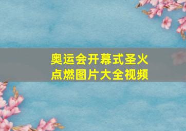 奥运会开幕式圣火点燃图片大全视频