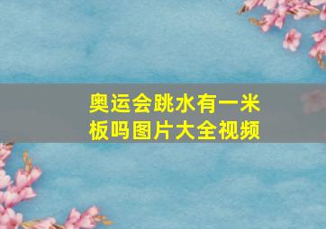 奥运会跳水有一米板吗图片大全视频