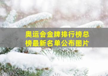 奥运会金牌排行榜总榜最新名单公布图片