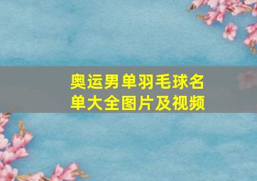 奥运男单羽毛球名单大全图片及视频