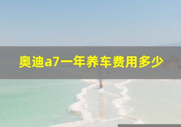 奥迪a7一年养车费用多少