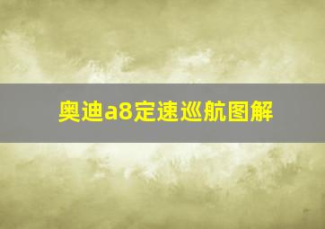 奥迪a8定速巡航图解