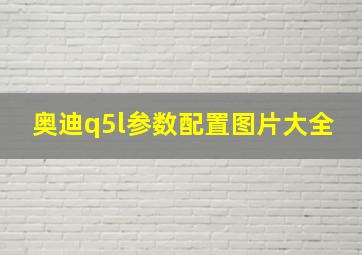 奥迪q5l参数配置图片大全