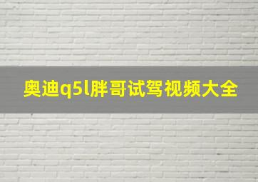 奥迪q5l胖哥试驾视频大全