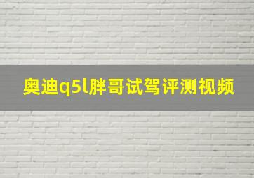 奥迪q5l胖哥试驾评测视频