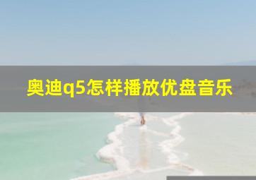 奥迪q5怎样播放优盘音乐