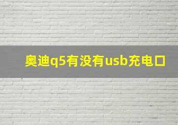 奥迪q5有没有usb充电口