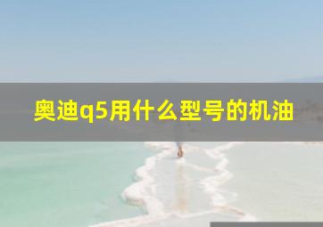 奥迪q5用什么型号的机油