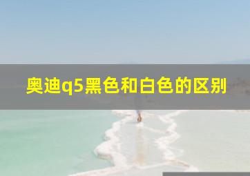 奥迪q5黑色和白色的区别