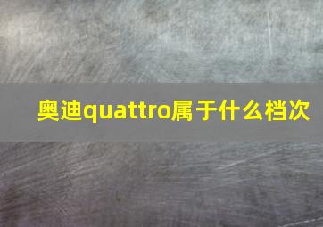 奥迪quattro属于什么档次