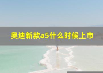 奥迪新款a5什么时候上市