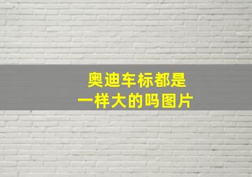 奥迪车标都是一样大的吗图片