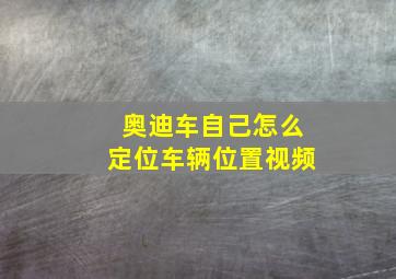 奥迪车自己怎么定位车辆位置视频