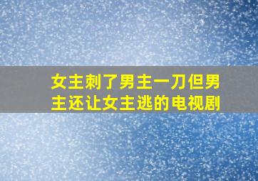 女主刺了男主一刀但男主还让女主逃的电视剧