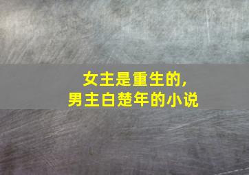 女主是重生的,男主白楚年的小说