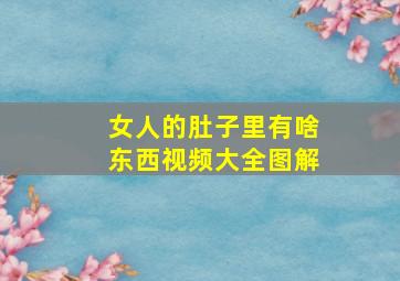 女人的肚子里有啥东西视频大全图解