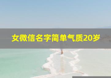 女微信名字简单气质20岁