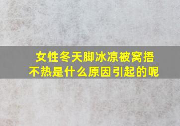 女性冬天脚冰凉被窝捂不热是什么原因引起的呢