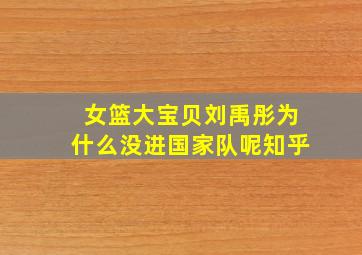 女篮大宝贝刘禹彤为什么没进国家队呢知乎