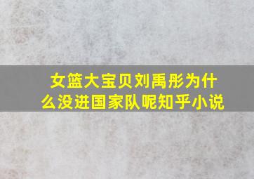 女篮大宝贝刘禹彤为什么没进国家队呢知乎小说