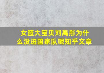 女篮大宝贝刘禹彤为什么没进国家队呢知乎文章