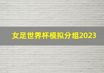 女足世界杯模拟分组2023