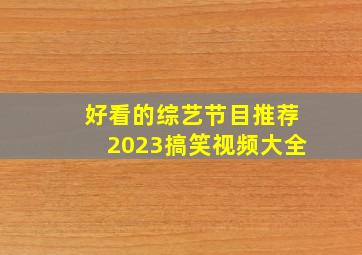 好看的综艺节目推荐2023搞笑视频大全