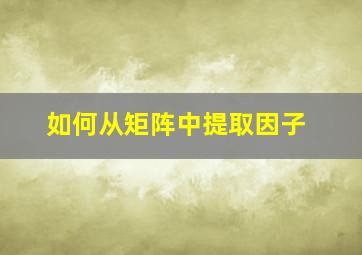 如何从矩阵中提取因子