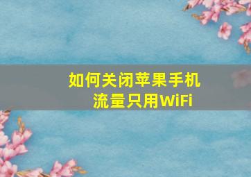 如何关闭苹果手机流量只用WiFi