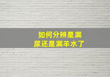 如何分辨是漏尿还是漏羊水了