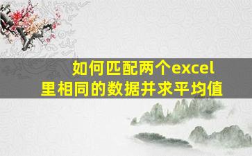 如何匹配两个excel里相同的数据并求平均值