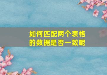 如何匹配两个表格的数据是否一致呢