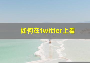 如何在twitter上看